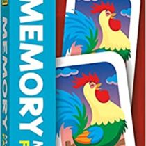 flash cards memory