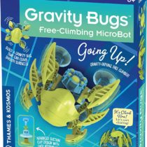 Gravity bugs 1