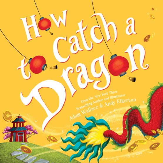 How to Catch a Dragon Hardcover – Picture Book